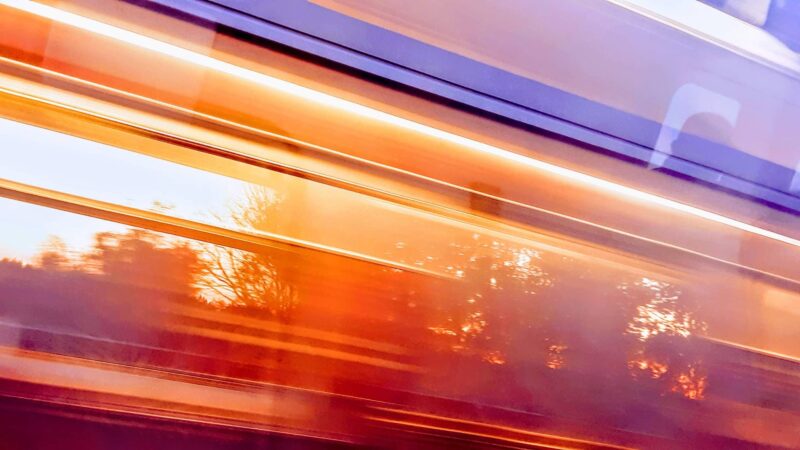 Pink Playground - Brooklyn, NY