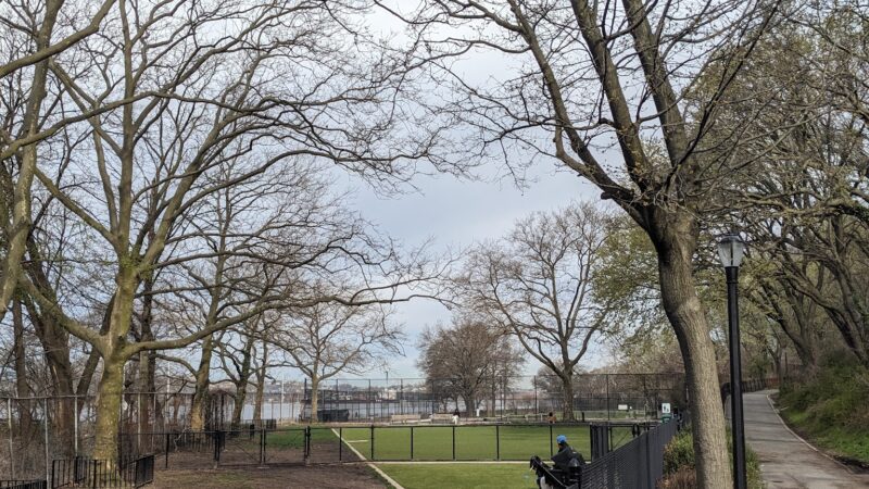 Shore Road and Parkway Dog Run - Brooklyn, NY