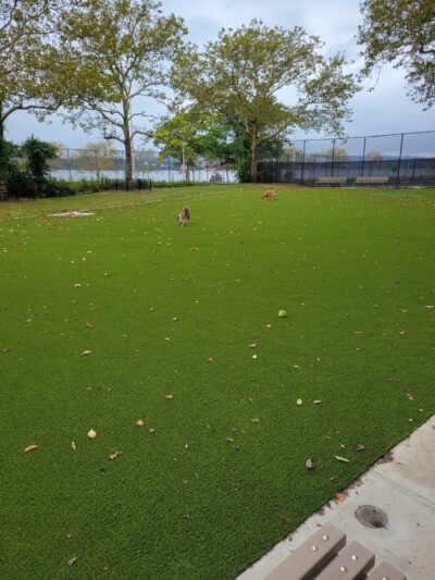 Shore Road and Parkway Dog Run - Brooklyn, NY