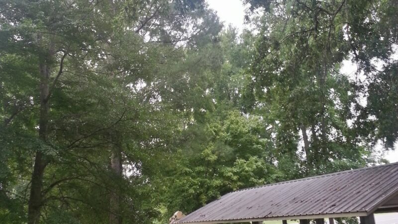 Brooks Park - Brooks, GA