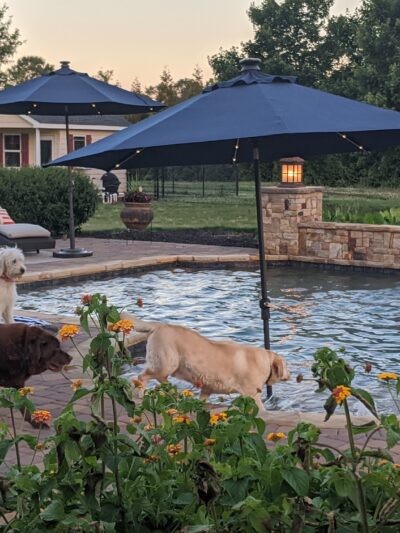 Canine Country Club of the South - Brooks, GA