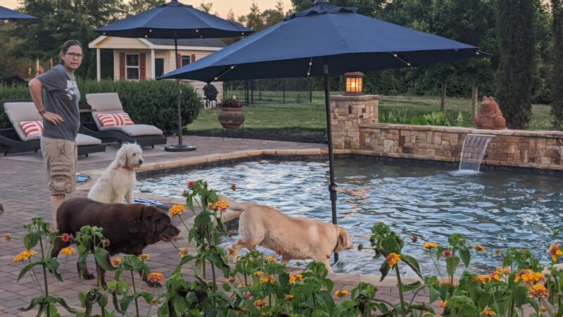 Canine Country Club of the South - Brooks, GA