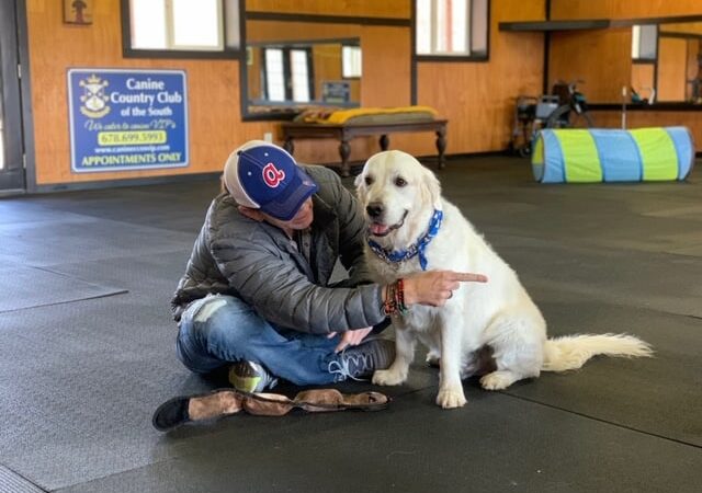 Canine Country Club of the South - Brooks, GA