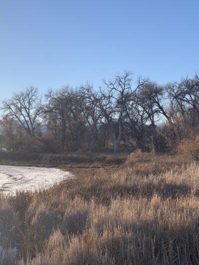 McKay Lake Parking Lot - Broomfield, CO
