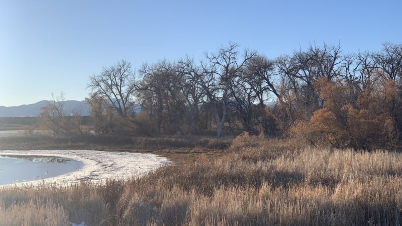 McKay Lake Parking Lot - Broomfield, CO