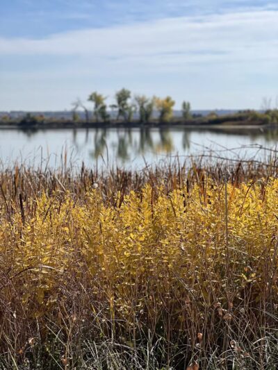 McKay Lake Parking Lot - Broomfield, CO