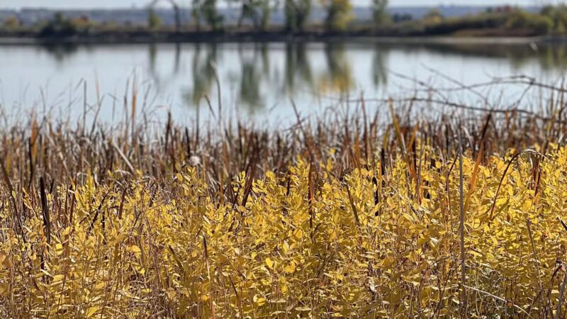 McKay Lake Parking Lot - Broomfield, CO