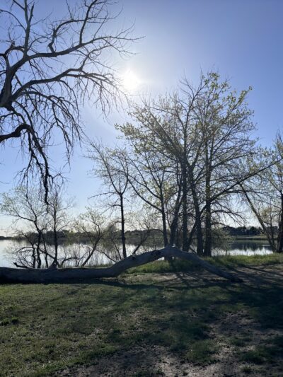 McKay Lake Parking Lot - Broomfield, CO