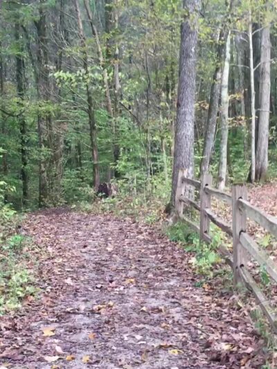 Cedar Sink Trailhead - Brownsville, KY