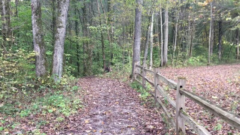 Cedar Sink Trailhead - Brownsville, KY