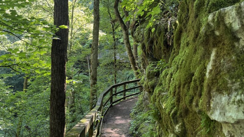 Cedar Sink Trailhead - Brownsville, KY