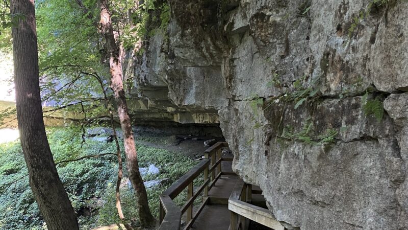 Cedar Sink Trailhead - Brownsville, KY