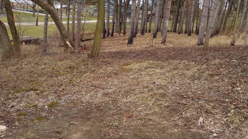 Dale Michels Park - Brownsville, WI