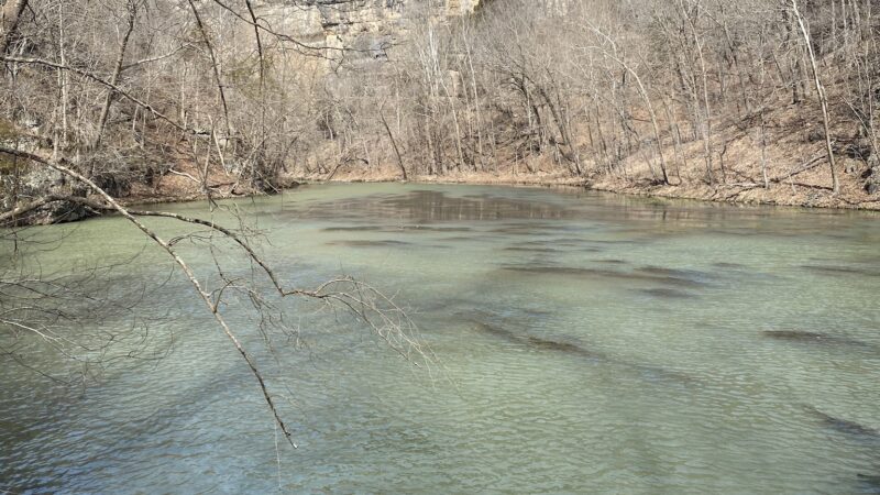 Hidden Springs Trail - Brumley, MO