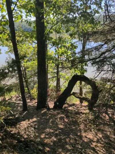 Hidden Springs Trail - Brumley, MO