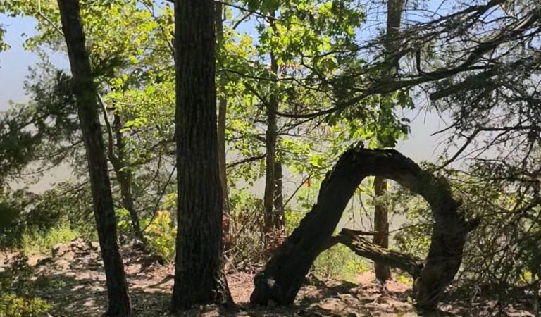 Hidden Springs Trail - Brumley, MO