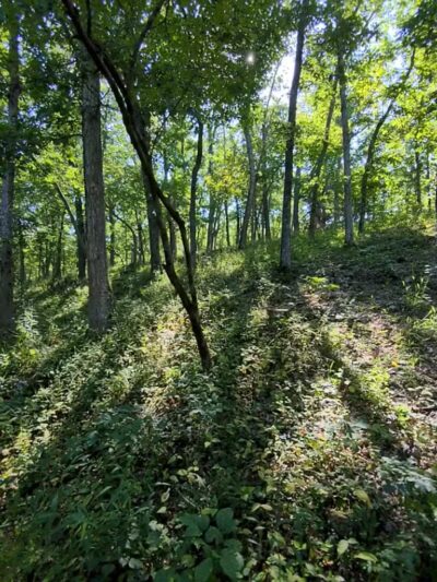 Trail of the Four Winds - Brumley, MO