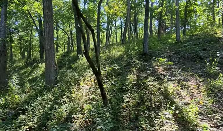 Trail of the Four Winds - Brumley, MO