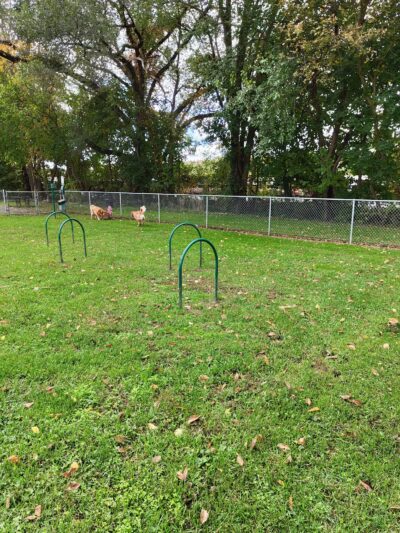 Brunswick City Park - Brunswick, MD