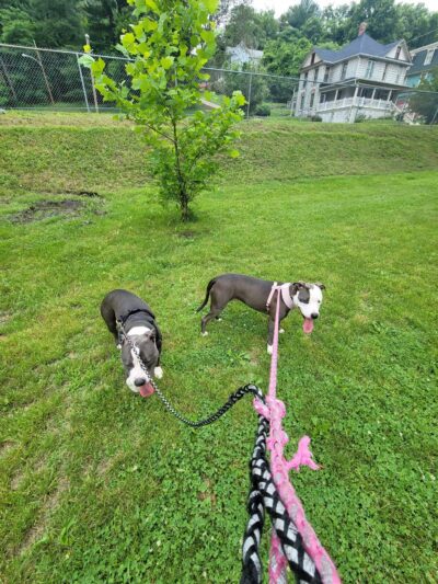 Brunswick City Park - Brunswick, MD