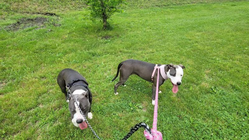 Brunswick City Park - Brunswick, MD