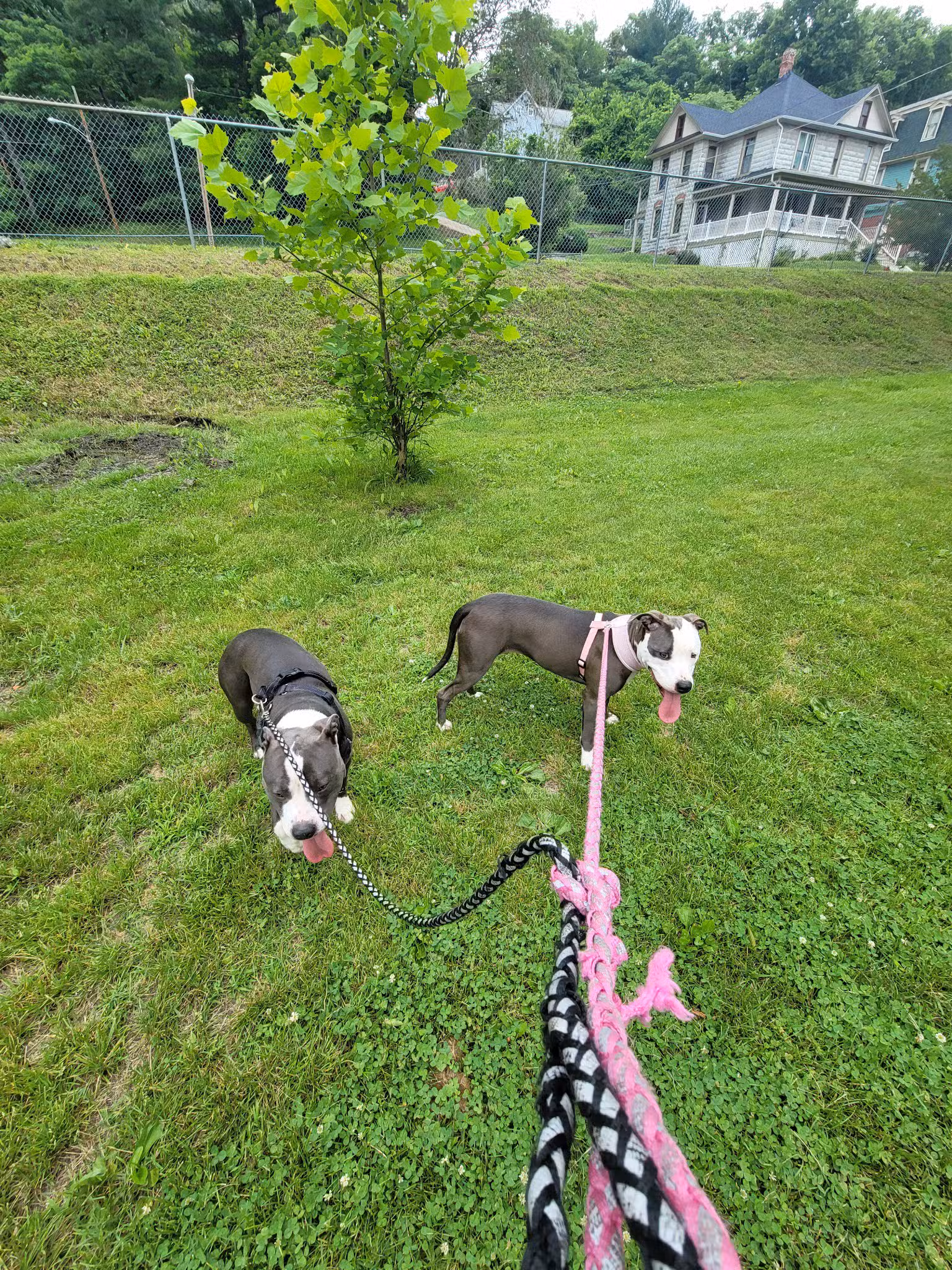 Brunswick City Park - Brunswick, MD