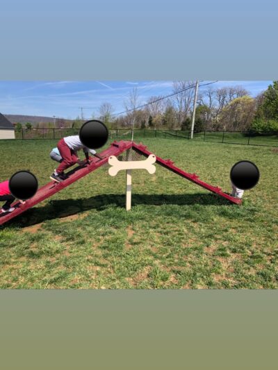 Dog Park - Brunswick, MD