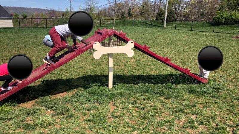 Dog Park - Brunswick, MD