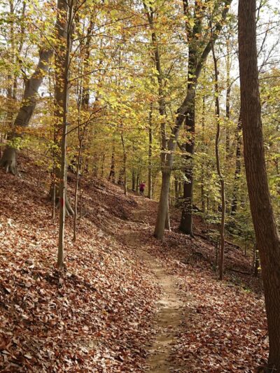 Rivers Edge Trails - Brunswick, MD
