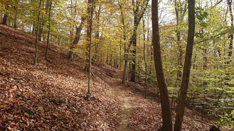 Rivers Edge Trails - Brunswick, MD
