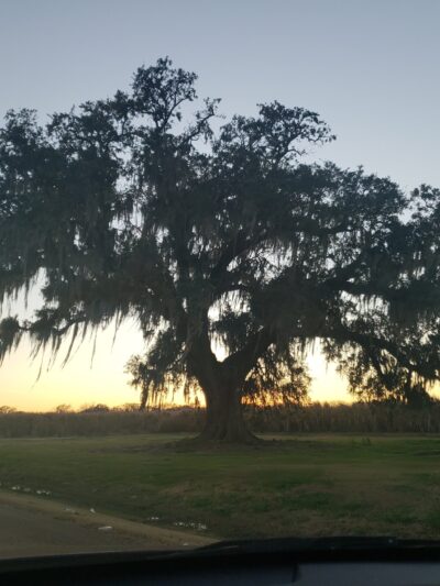 Alexander Park - Brusly, LA
