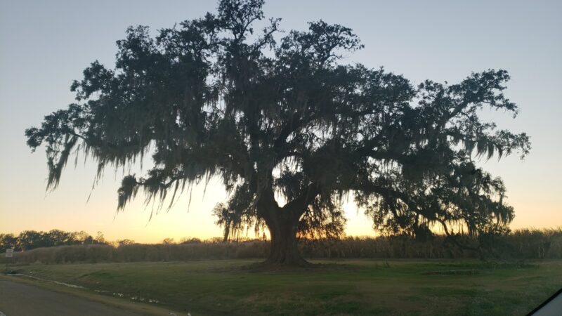 Alexander Park - Brusly, LA