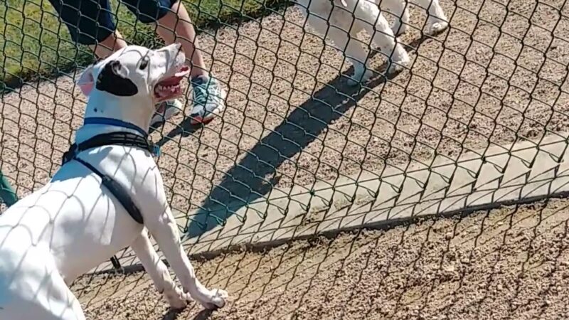 Morris “Buzz” Hamilton Park - Bryan, TX