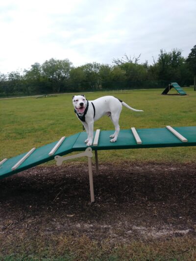 Morris “Buzz” Hamilton Park - Bryan, TX