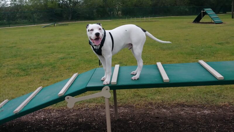 Morris “Buzz” Hamilton Park - Bryan, TX