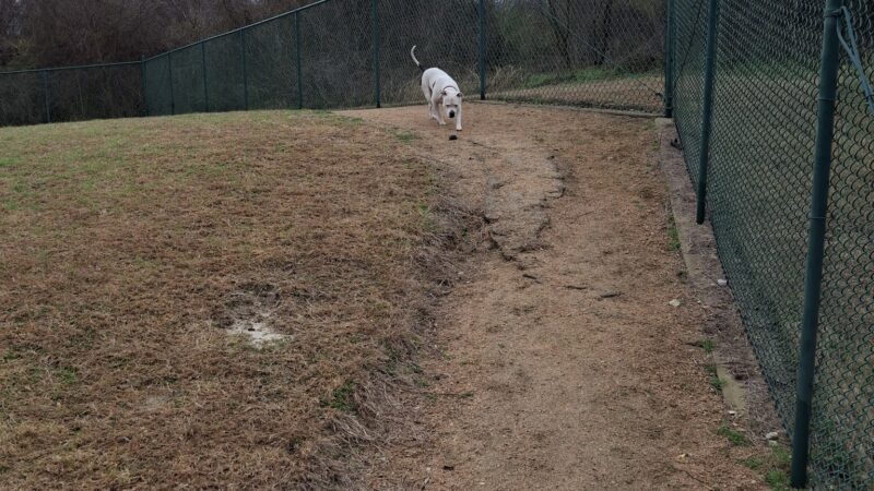 Morris “Buzz” Hamilton Park - Bryan, TX