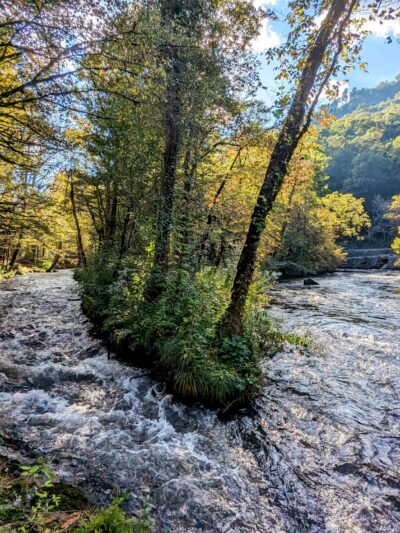 Ferebee Memorial Recreation Area - Bryson City, NC
