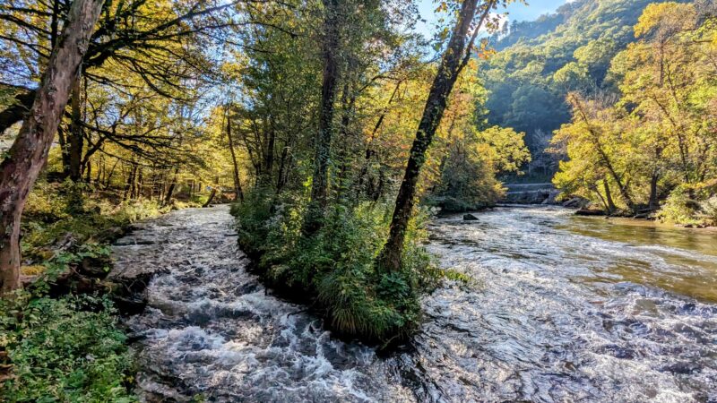 Ferebee Memorial Recreation Area - Bryson City, NC