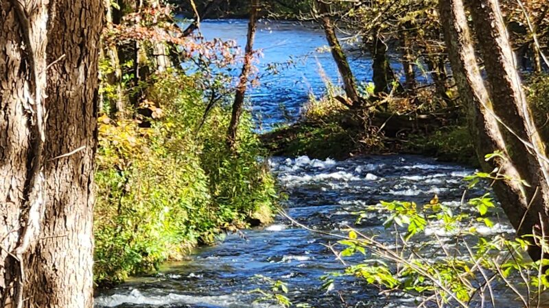 Ferebee Memorial Recreation Area - Bryson City, NC