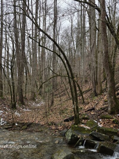 Trailhead for Findley Falls - Bryson City, NC