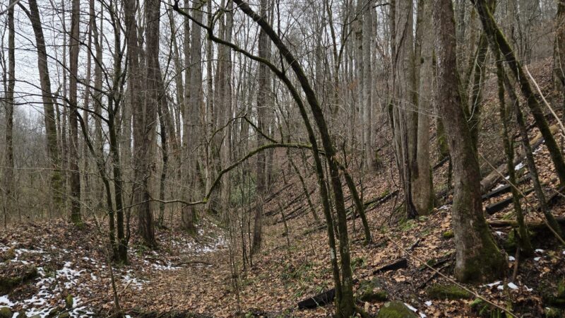 Trailhead for Findley Falls - Bryson City, NC