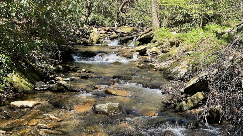 Trailhead for Findley Falls - Bryson City, NC