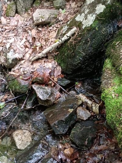 Packard Trail - Buckfield, ME