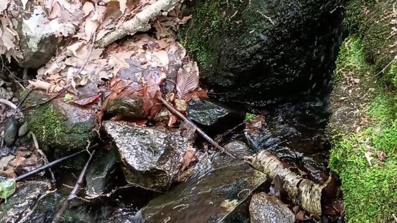 Packard Trail - Buckfield, ME