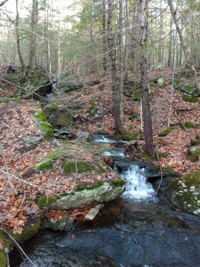 Packard Trail - Buckfield, ME
