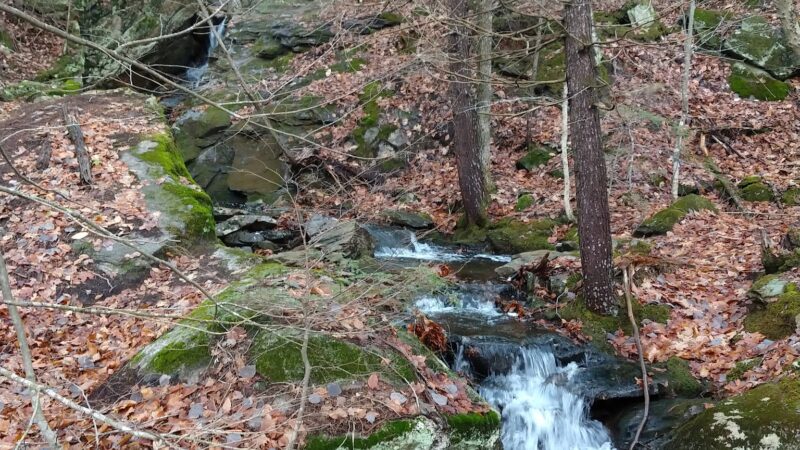 Packard Trail - Buckfield, ME