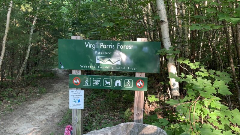 Packard Trail - Buckfield, ME