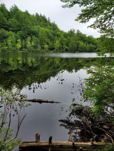 Packard Trail - Buckfield, ME