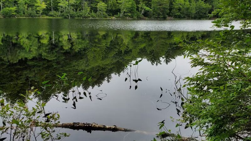 Packard Trail - Buckfield, ME