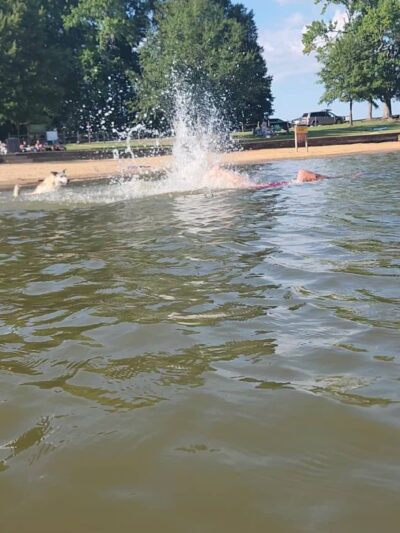 Buffalo Park and Campground - Buffalo Junction, VA